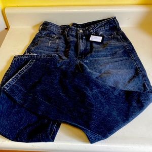 NEW MARISSA WEBB SIZE 29, INSEAM 27, GRANT DEMIN FADED BLACK STONE PANTS